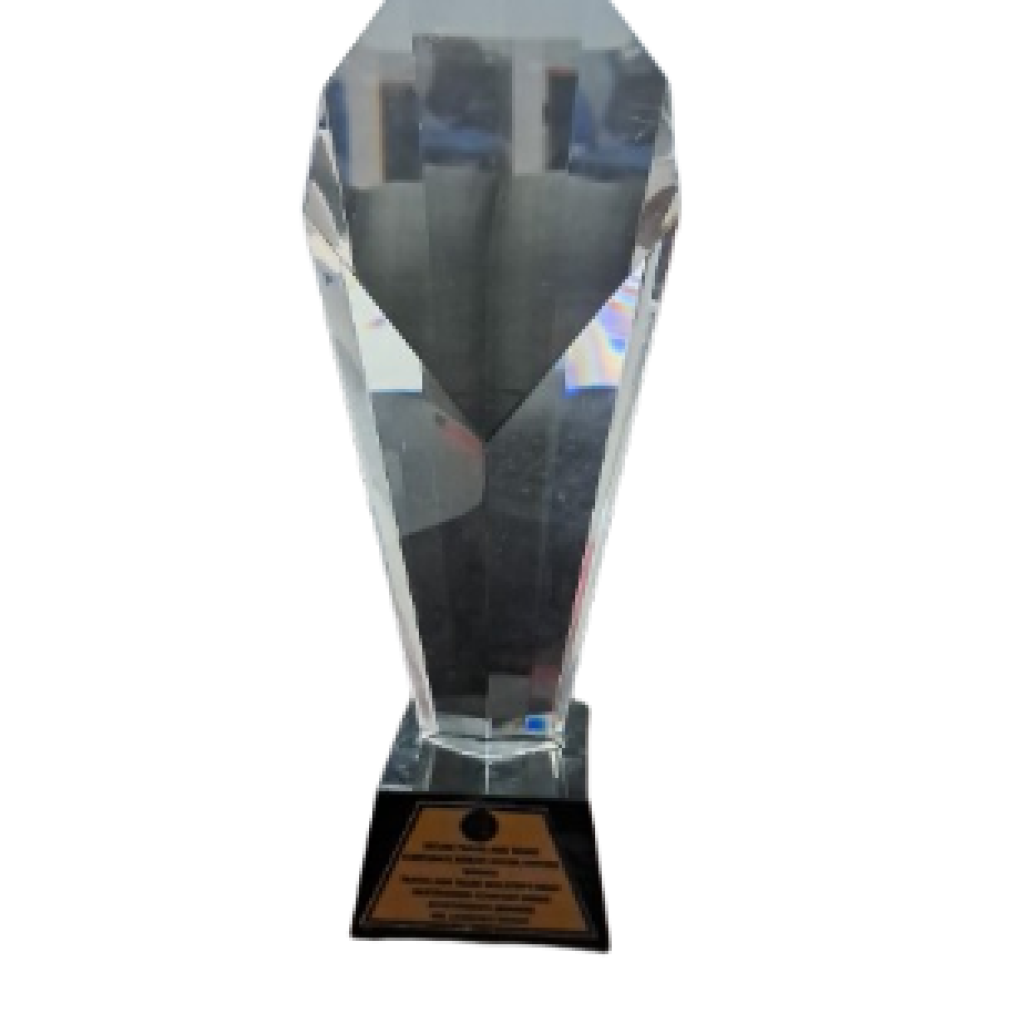 Crystal award trophy on black base