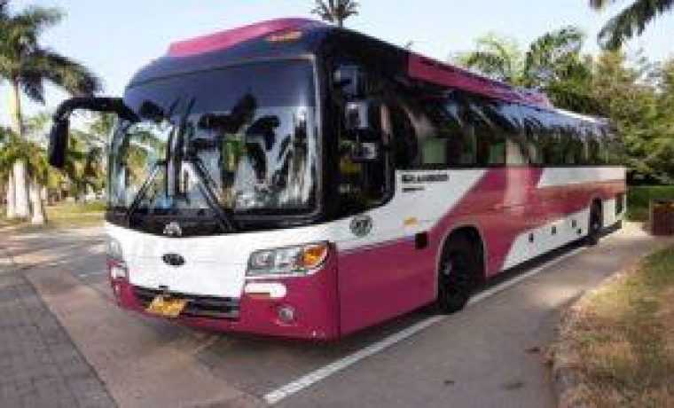 Pink and white tour bus on road.