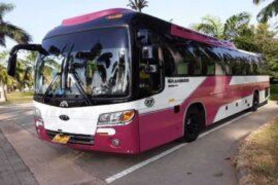 Pink and white tour bus on road.